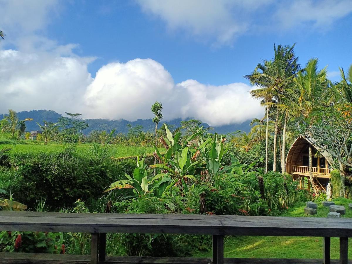 Jero Tumbuk Private Villa Selat Esterno foto