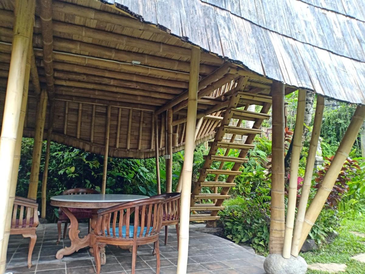 Jero Tumbuk Private Villa Selat Esterno foto