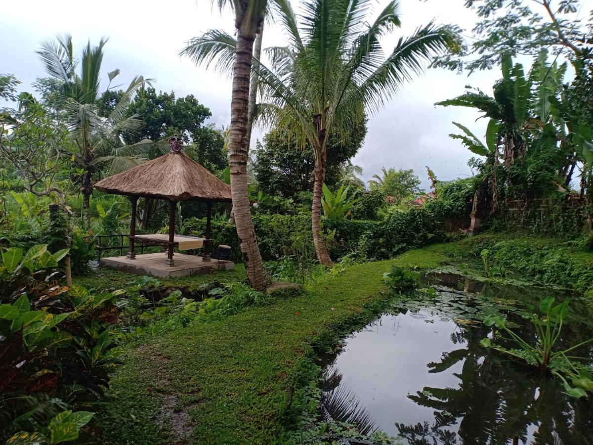 Jero Tumbuk Private Villa Selat Esterno foto