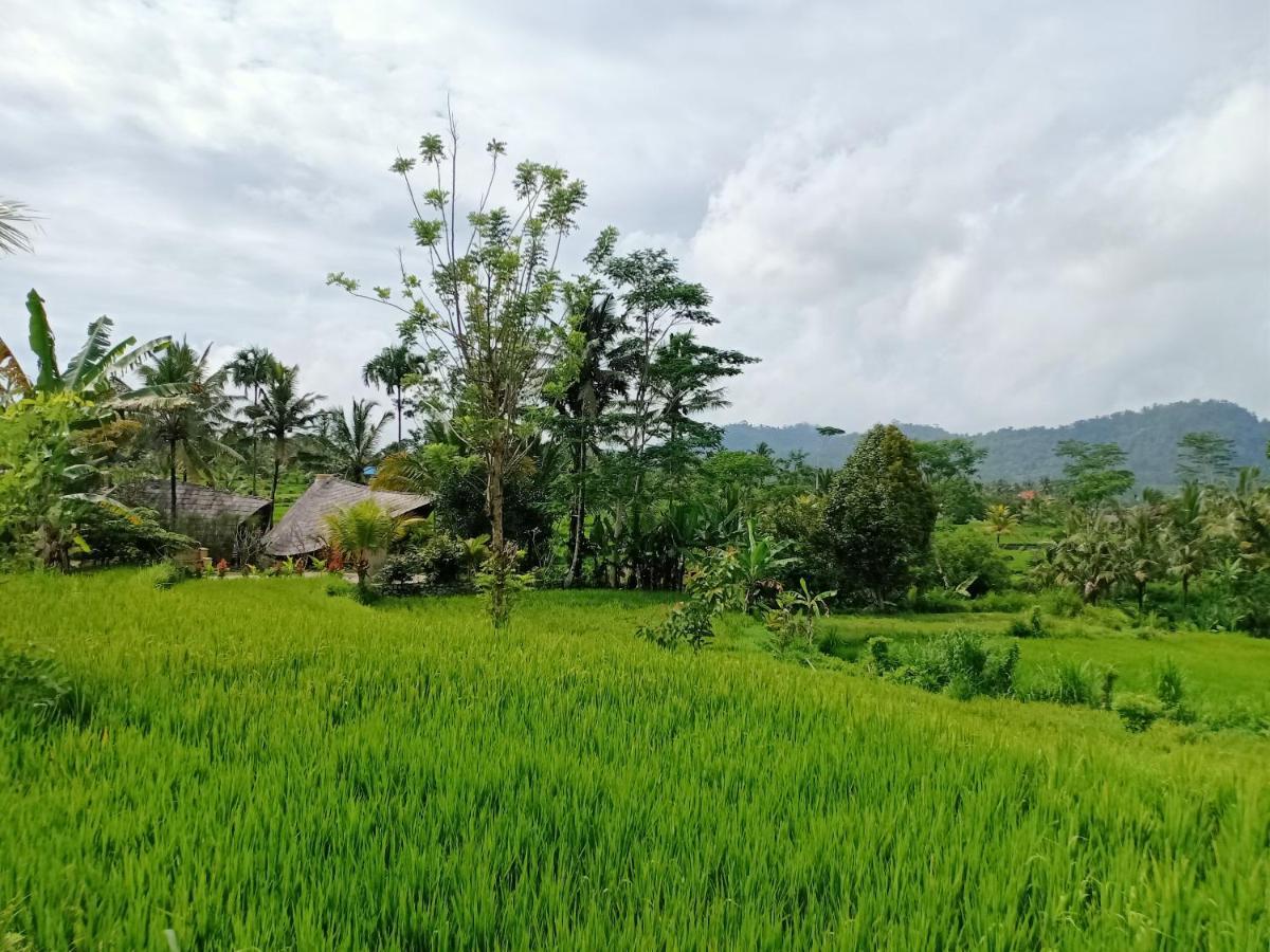 Jero Tumbuk Private Villa Selat Esterno foto