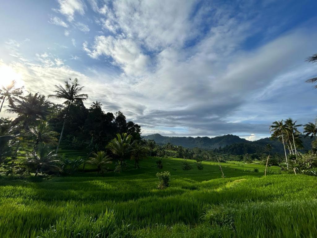 Jero Tumbuk Private Villa Selat Esterno foto