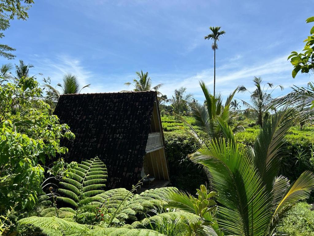 Jero Tumbuk Private Villa Selat Esterno foto