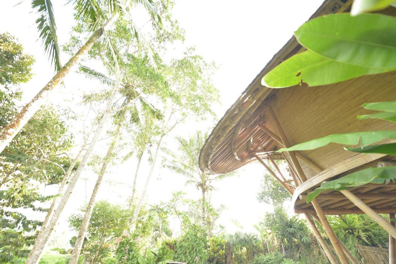 Jero Tumbuk Private Villa Selat Esterno foto